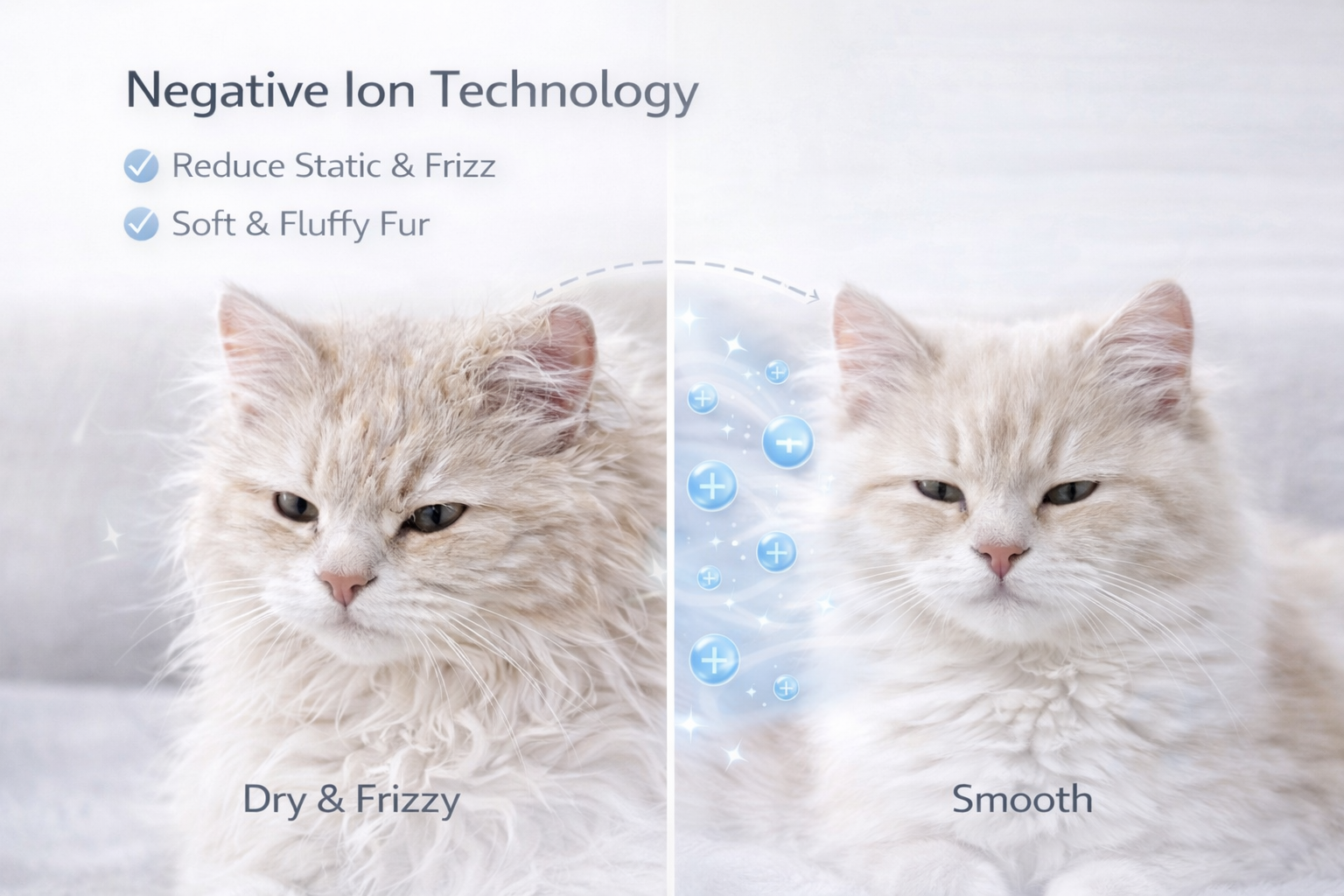 Smart Pet Dryer Box (72L) – The Ultimate Stress-Free Grooming