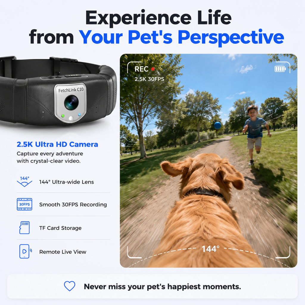 Smart Pet GPS Camera Collar
