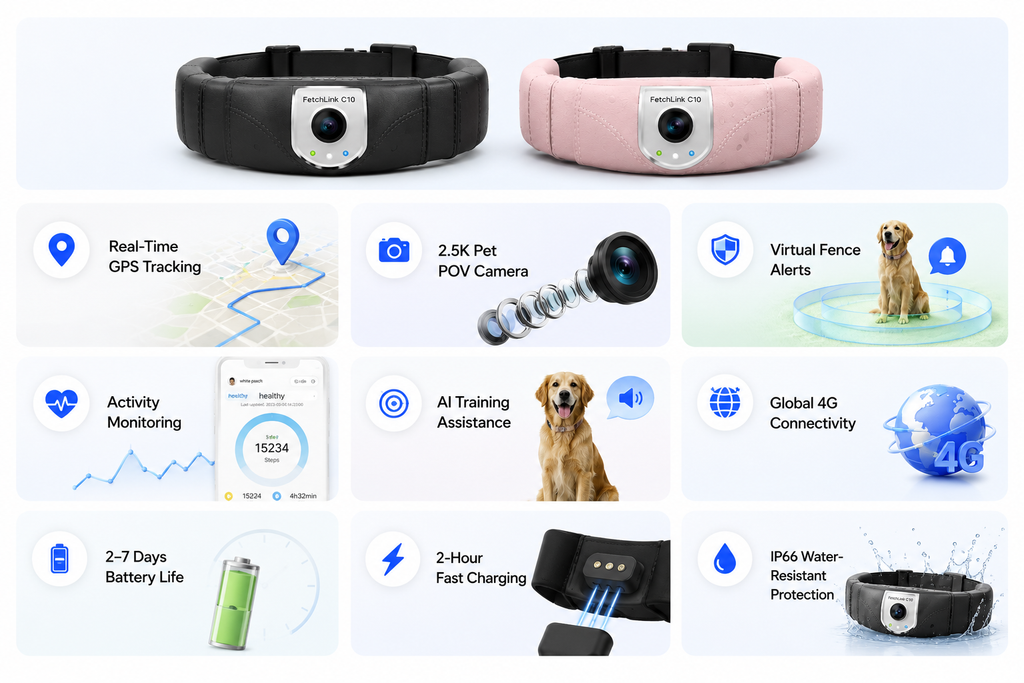 Smart Pet GPS Camera Collar