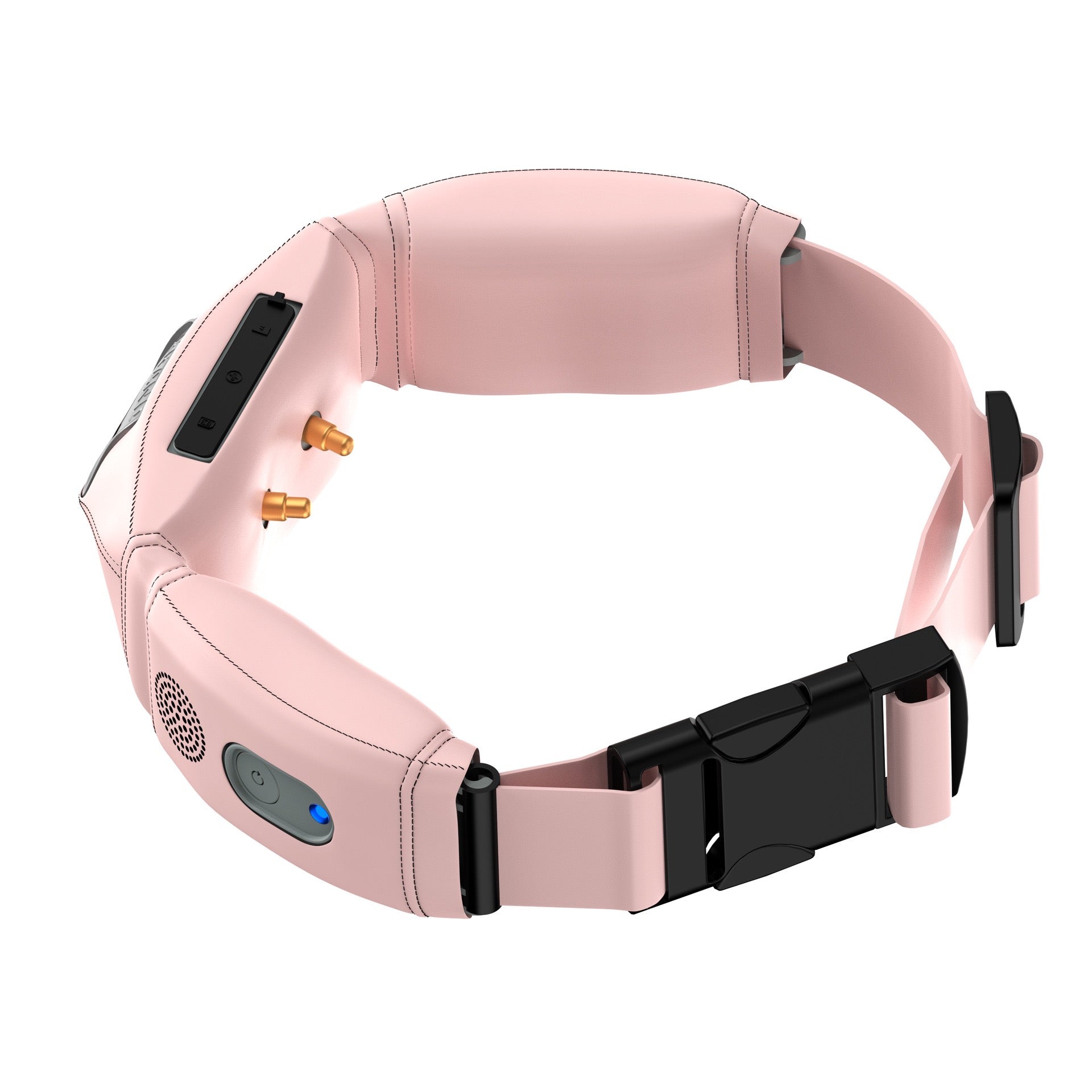 Smart Pet GPS Camera Collar